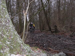 2010 1212 Crosstour 026